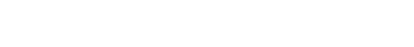 DealerSocket
