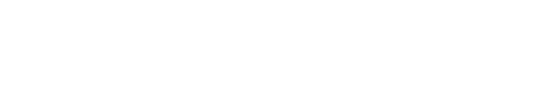 VinSolutions